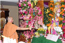 holi_nar_narayan_dev_jayanti_036.jpg